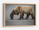Abrazo de mamá osa - Renee Doyle | Cuadro decorativo de Canvas Lab