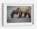 Abrazo de mamá osa - Renee Doyle | Cuadro decorativo de Canvas Lab