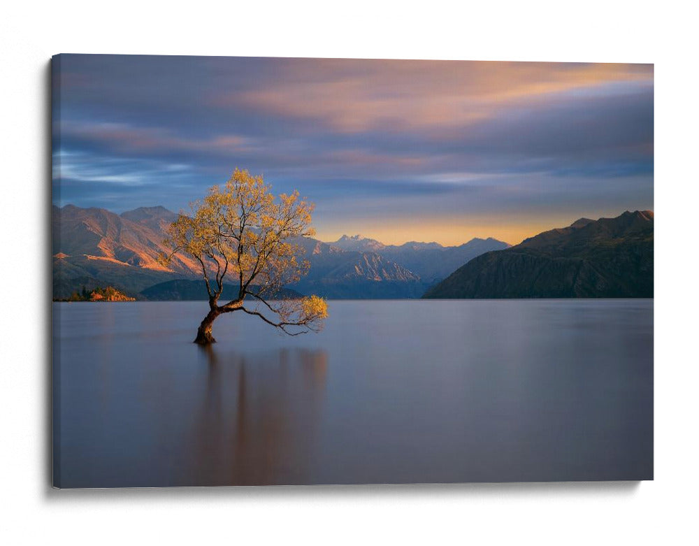 Árbol solitario de Wanaka - Renee Doyle | Cuadro decorativo de Canvas Lab