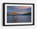 Árbol solitario de Wanaka - Renee Doyle | Cuadro decorativo de Canvas Lab