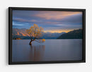 Árbol solitario de Wanaka - Renee Doyle | Cuadro decorativo de Canvas Lab