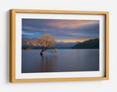 Árbol solitario de Wanaka - Renee Doyle | Cuadro decorativo de Canvas Lab