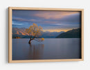 Árbol solitario de Wanaka - Renee Doyle | Cuadro decorativo de Canvas Lab