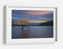 Árbol solitario de Wanaka - Renee Doyle | Cuadro decorativo de Canvas Lab