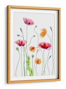 Amapolas color pastel - Mandy Disher | Cuadro decorativo de Canvas Lab