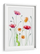 Amapolas color pastel - Mandy Disher | Cuadro decorativo de Canvas Lab