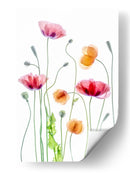 Amapolas color pastel - Mandy Disher | Cuadro decorativo de Canvas Lab