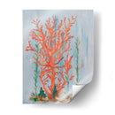 Pinterly Coral Ii - Olivia Brewington | Cuadro decorativo de Canvas Lab