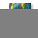 Guiones Ii - Jodi Fuchs | Cuadro decorativo de Canvas Lab