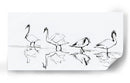 Lago con cisnes - DIEGO D L | Cuadro decorativo de Canvas Lab