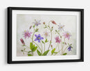 Aguileña floración - Mandy Disher | Cuadro decorativo de Canvas Lab