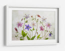 Aguileña floración - Mandy Disher | Cuadro decorativo de Canvas Lab