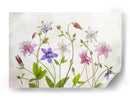 Aguileña floración - Mandy Disher | Cuadro decorativo de Canvas Lab