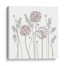 Allium ascendente - Mandy Disher | Cuadro decorativo de Canvas Lab
