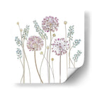 Allium ascendente - Mandy Disher | Cuadro decorativo de Canvas Lab