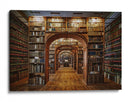 Arcos de la Gran Biblioteca - Patrick Aurednik | Cuadro decorativo de Canvas Lab