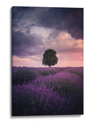 Atardecer de lavanda para el árbol solitario - Cuma Cevik | Cuadro decorativo de Canvas Lab