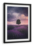 Atardecer de lavanda para el árbol solitario - Cuma Cevik | Cuadro decorativo de Canvas Lab