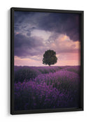 Atardecer de lavanda para el árbol solitario - Cuma Cevik | Cuadro decorativo de Canvas Lab