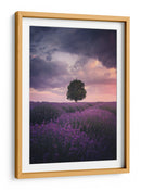 Atardecer de lavanda para el árbol solitario - Cuma Cevik | Cuadro decorativo de Canvas Lab