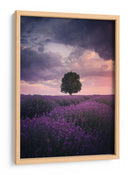 Atardecer de lavanda para el árbol solitario - Cuma Cevik | Cuadro decorativo de Canvas Lab