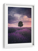 Atardecer de lavanda para el árbol solitario - Cuma Cevik | Cuadro decorativo de Canvas Lab
