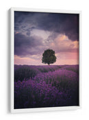 Atardecer de lavanda para el árbol solitario - Cuma Cevik | Cuadro decorativo de Canvas Lab