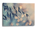 Bokeh de grano de ensueño - Dimitar Lazarov - | Cuadro decorativo de Canvas Lab