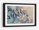 Bokeh de grano de ensueño - Dimitar Lazarov - | Cuadro decorativo de Canvas Lab