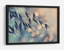 Bokeh de grano de ensueño - Dimitar Lazarov - | Cuadro decorativo de Canvas Lab