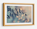 Bokeh de grano de ensueño - Dimitar Lazarov - | Cuadro decorativo de Canvas Lab