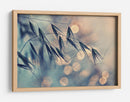 Bokeh de grano de ensueño - Dimitar Lazarov - | Cuadro decorativo de Canvas Lab
