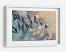 Bokeh de grano de ensueño - Dimitar Lazarov - | Cuadro decorativo de Canvas Lab