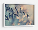 Bokeh de grano de ensueño - Dimitar Lazarov - | Cuadro decorativo de Canvas Lab