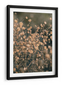 Botánicos secos suaves - Fluidys Studio III | Cuadro decorativo de Canvas Lab