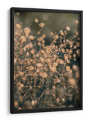 Botánicos secos suaves - Fluidys Studio III | Cuadro decorativo de Canvas Lab