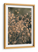 Botánicos secos suaves - Fluidys Studio III | Cuadro decorativo de Canvas Lab