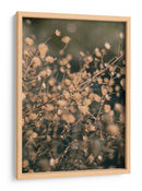 Botánicos secos suaves - Fluidys Studio III | Cuadro decorativo de Canvas Lab