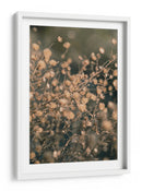 Botánicos secos suaves - Fluidys Studio III | Cuadro decorativo de Canvas Lab
