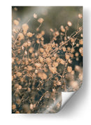 Botánicos secos suaves - Fluidys Studio III | Cuadro decorativo de Canvas Lab