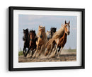 Caballos salvajes, quiero ser como ustedes - Adam Wong | Cuadro decorativo de Canvas Lab