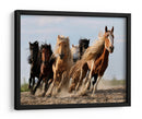 Caballos salvajes, quiero ser como ustedes - Adam Wong | Cuadro decorativo de Canvas Lab