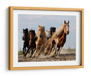 Caballos salvajes, quiero ser como ustedes - Adam Wong | Cuadro decorativo de Canvas Lab