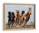 Caballos salvajes, quiero ser como ustedes - Adam Wong | Cuadro decorativo de Canvas Lab