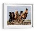 Caballos salvajes, quiero ser como ustedes - Adam Wong | Cuadro decorativo de Canvas Lab