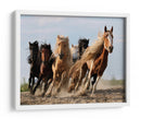 Caballos salvajes, quiero ser como ustedes - Adam Wong | Cuadro decorativo de Canvas Lab
