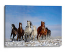 Caballos salvajes al galope - Libby Zhang | Cuadro decorativo de Canvas Lab