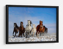 Caballos salvajes al galope - Libby Zhang | Cuadro decorativo de Canvas Lab