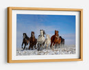 Caballos salvajes al galope - Libby Zhang | Cuadro decorativo de Canvas Lab