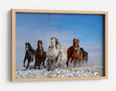 Caballos salvajes al galope - Libby Zhang | Cuadro decorativo de Canvas Lab